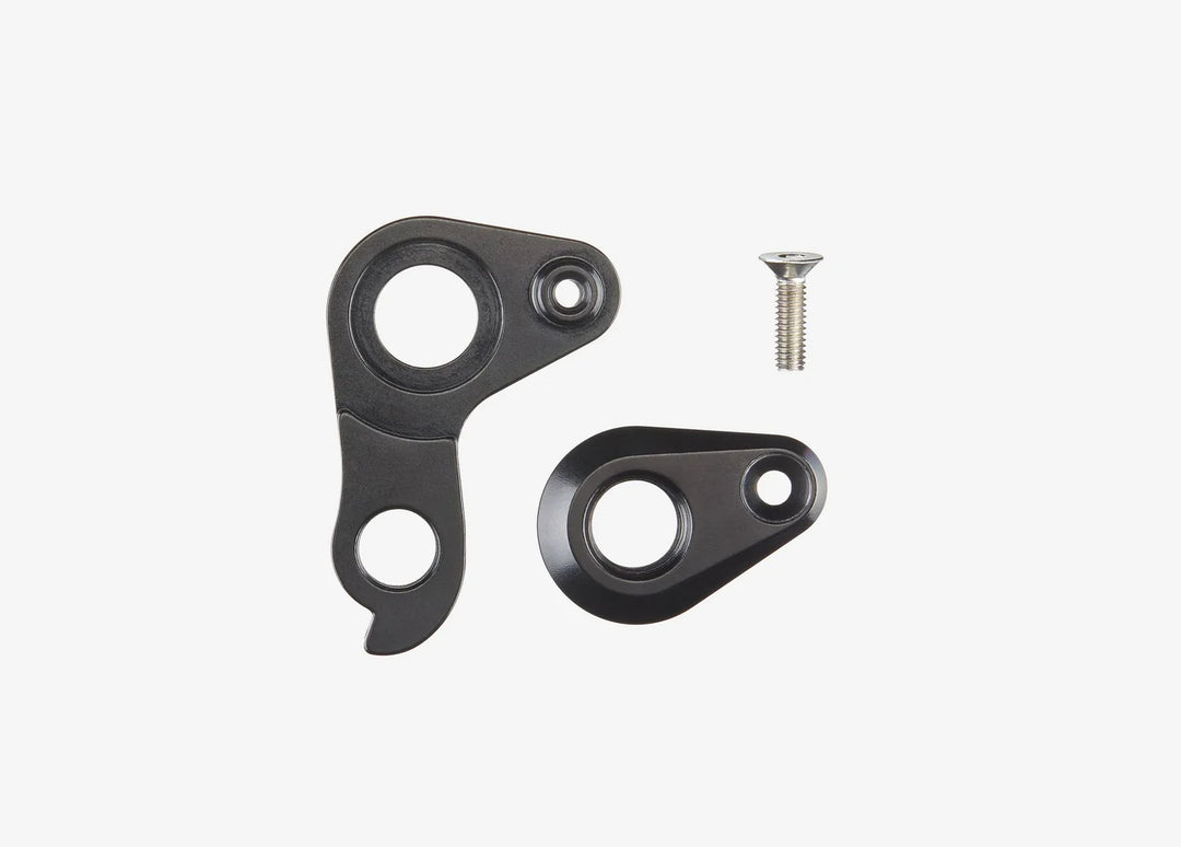 Thru-Axle HANGER (DISK - 2 PACK) PSRDH0001AM